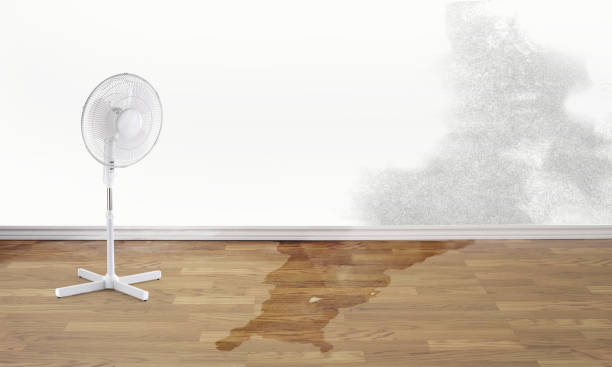  Croom, MD Water damage restoration Pros