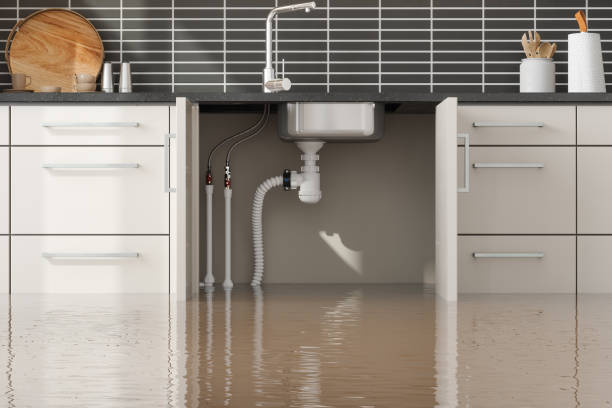 Best Water damage repair service  in Croom, MD