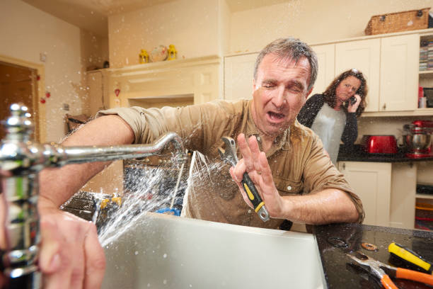 Best Mold removal after water damage  in Croom, MD